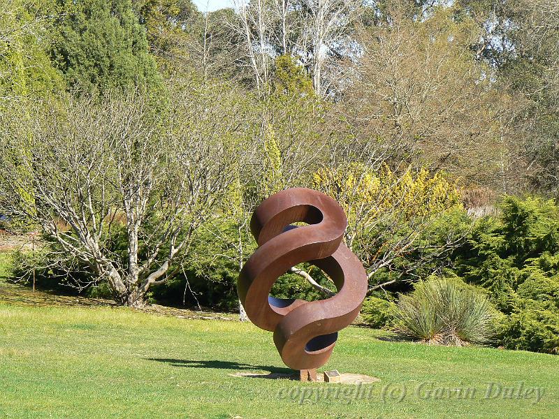 Mt Lofty Botanical Gardens P1030796.JPG